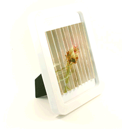 photojojo Lenticular Image